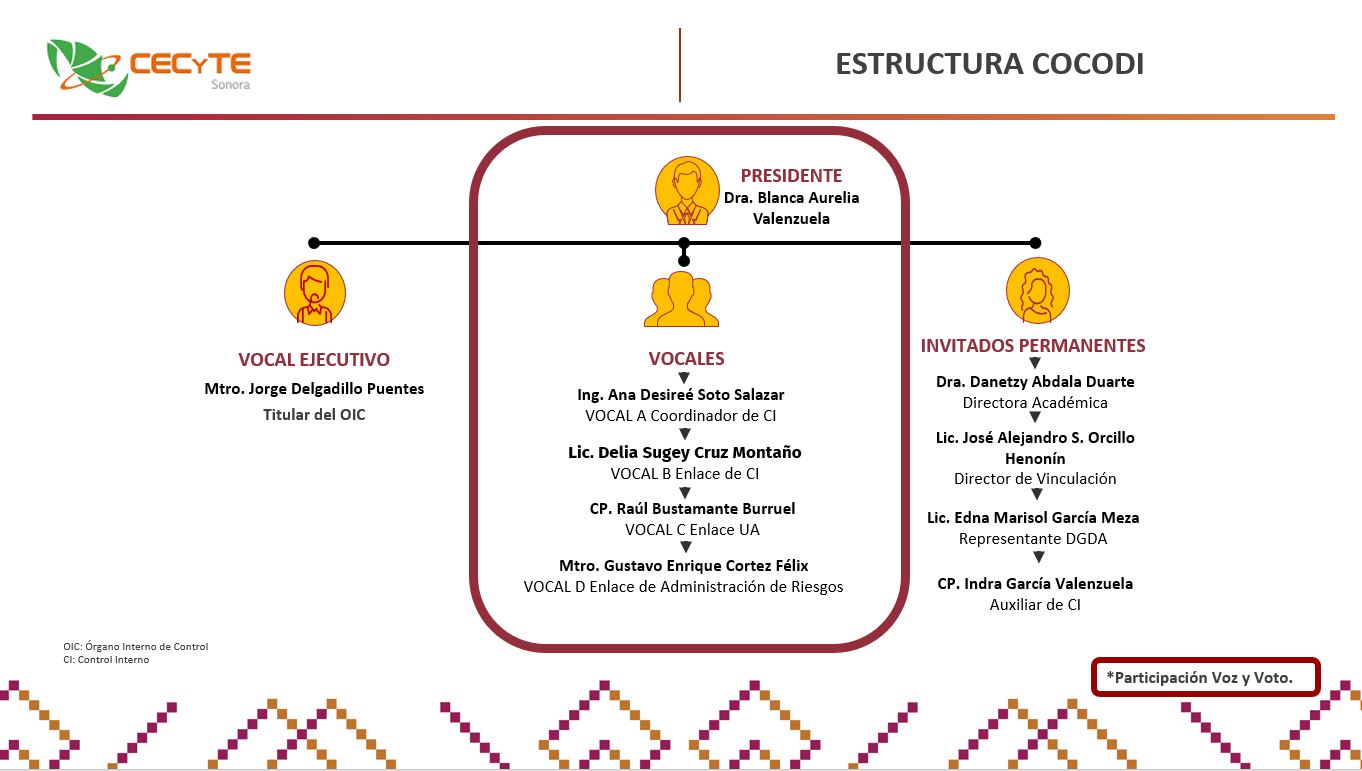ESTRUCURA COCODI.jpg